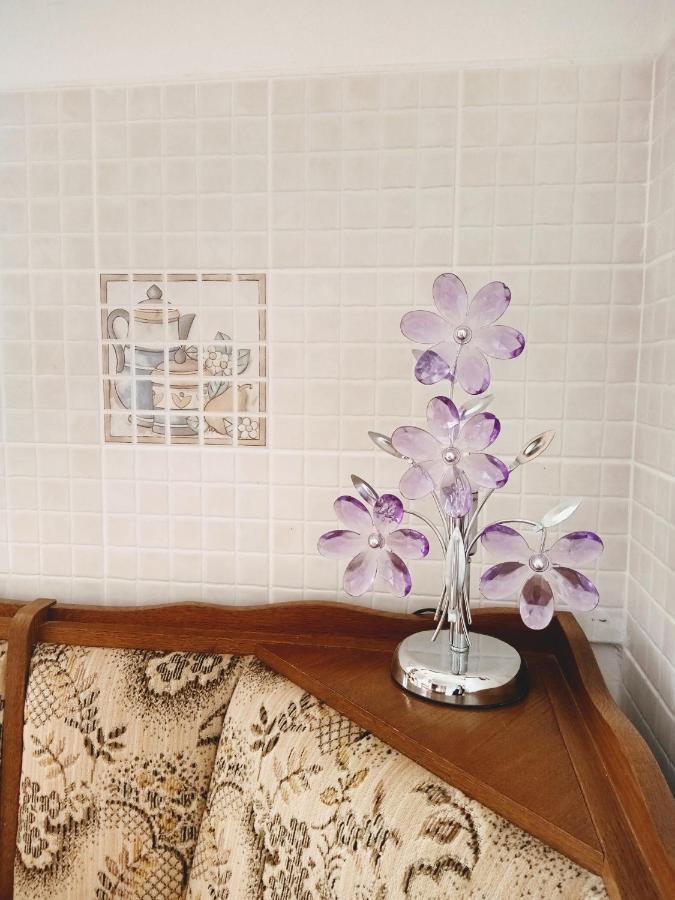 Apartmani Nikolina Ražanac Zewnętrze zdjęcie